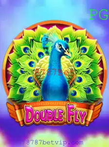 Explorando o Fascinante Mundo do DoubleFly: Regras, Estratégias e Início